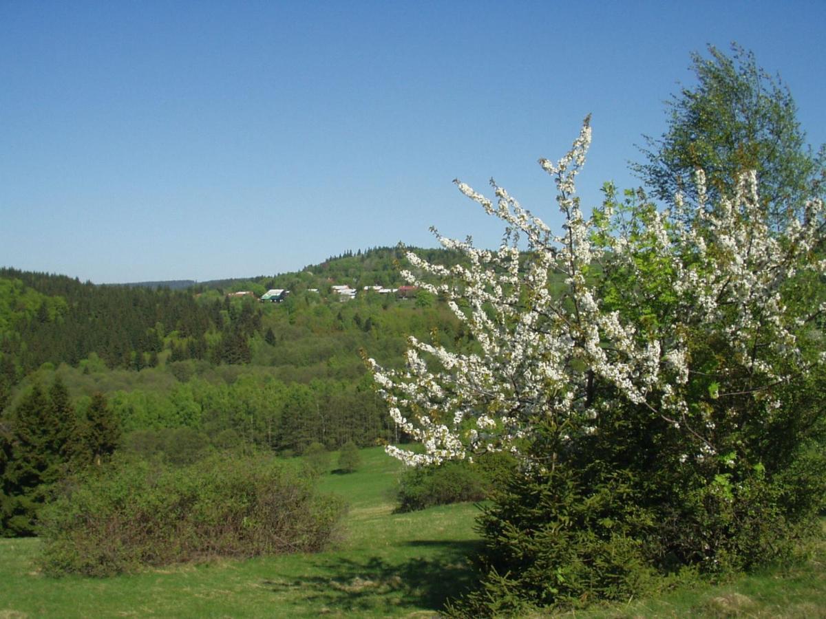 Penzion Na Slunicku Marianska Exterior photo
